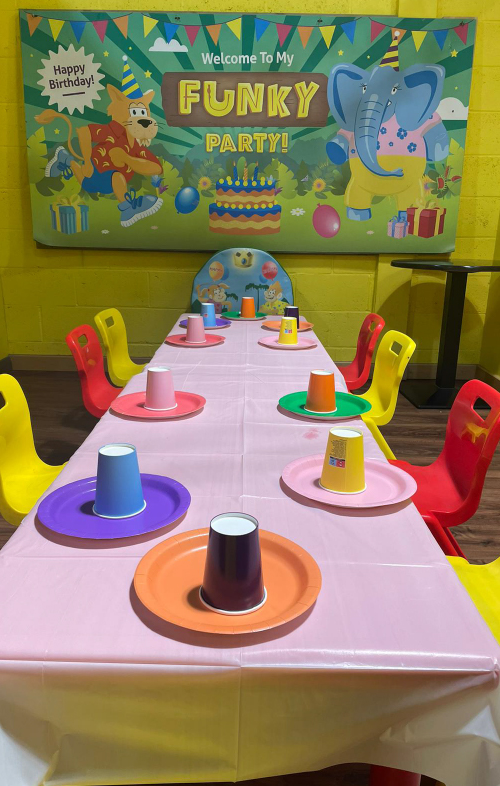 Funky Monkeys Soft Play Parties (3)